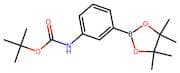 3-Aminobenzeneboronic acid, pinacol ester, N-BOC protected