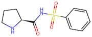 (S)-N-(Phenylsulfonyl)pyrrolidine-2-carboxamide