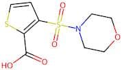 3-(Morpholin-4-ylsulfonyl)thiophene-2-carboxylic acid