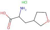 2-Amino-3-(tetrahydrofuran-3-yl)propanoic acid hydrochloride