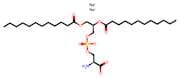 Sodium (S)-2-amino-3-((((R)-2,3-bis(dodecanoyloxy)propoxy)oxidophosphoryl)oxy)propanoate