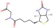 Biotin-Sar-OH