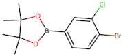2-(4-Bromo-3-chlorophenyl)-4,4,5,5-tetramethyl-1,3,2-dioxaborolane