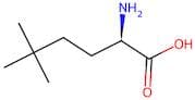(R)-2-Amino-5,5-dimethylhexanoic acid