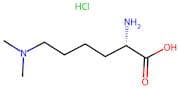 (S)-2-Amino-6-(dimethylamino)hexanoic acid hydrochloride