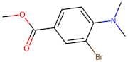 Methyl 3-bromo-4-(dimethylamino)benzoate