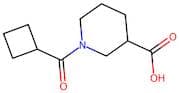 1-(Cyclobutanecarbonyl)piperidine-3-carboxylic acid
