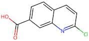 2-Chloroquinoline-7-carboxylic acid