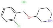 3-((2-Chlorobenzyl)oxy)piperidine hydrochloride