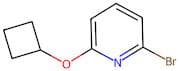 2-Bromo-6-cyclobutoxypyridine