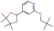 2-(Neopentyloxy)-4-(4,4,5,5-tetramethyl-1,3,2-dioxaborolan-2-yl)pyridine