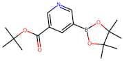 tert-Butyl 5-(4,4,5,5-tetramethyl-1,3,2-dioxaborolan-2-yl)nicotinate