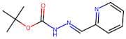 tert-Butyl 2-(pyridin-2-ylmethylene)hydrazinecarboxylate