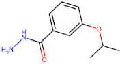 3-Isopropoxybenzohydrazide