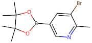 3-Bromo-2-methylpyridine-5-boronic acid pinacol ester