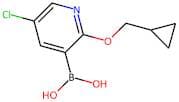 (5-Chloro-2-(cyclopropylmethoxy)pyridin-3-yl)boronic acid
