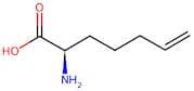 (R)-2-Aminohept-6-enoic acid
