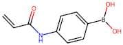 (4-Acrylamidophenyl)boronic acid