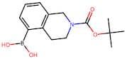 2-(tert-Butoxycarbonyl)-1,2,3,4-tetrahydroisoquinolin-5-ylboronic acid