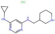 N4-Cyclopropyl-N6-(piperidin-3-ylmethyl)pyrimidine-4,6-diamine hydrochloride