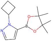 1-Cyclobutyl-5-(4,4,5,5-tetramethyl-1,3,2-dioxaborolan-2-yl)-1H-pyrazole