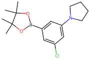 3-Chloro-5-pyrrolidinophenylboronic acid, pinacol ester