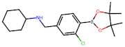 N-(3-Chloro-4-(4,4,5,5-tetramethyl-1,3,2-dioxaborolan-2-yl)benzyl)cyclohexanamine