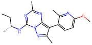 N-((R)-sec-Butyl)-8-(6-methoxy-2-methylpyridin-3-yl)-2,7-dimethylpyrazolo[1,5-a][1,3,5]triazin-4-a…