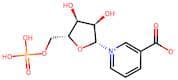 1-((2R,3R,4S,5R)-3,4-Dihydroxy-5-((phosphonooxy)methyl)tetrahydrofuran-2-yl)pyridin-1-ium-3-carbox…
