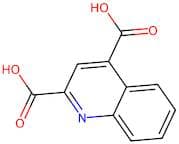 Quinoline-2,4-dicarboxylic acid