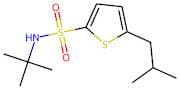 N-(tert-Butyl)-5-isobutylthiophene-2-sulfonamide