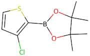 2-(3-Chlorothiophen-2-yl)-4,4,5,5-tetramethyl-1,3,2-dioxaborolane