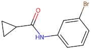 N-(3-Bromophenyl)cyclopropanecarboxamide