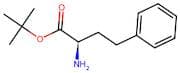 D-Homophenylalanine tert-Butyl Ester