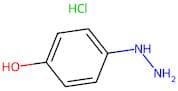 4-Hydrazinylphenol hydrochloride