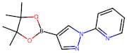 2-[4-(Tetramethyl-1,3,2-dioxaborolan-2-yl)-1H-pyrazol-1-yl]pyridine