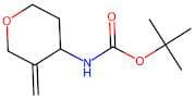 tert-Butyl (3-methylenetetrahydro-2H-pyran-4-yl)carbamate