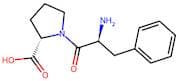 (S)-1-((S)-2-Amino-3-phenylpropanoyl)pyrrolidine-2-carboxylic acid