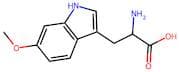 2-Amino-3-(6-methoxy-1H-indol-3-yl)propanoic acid
