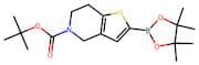 tert-Butyl 2-(tetramethyl-1,3,2-dioxaborolan-2-yl)-4H,6H,7H-thieno[3,2-c]pyridine-5-carboxylate