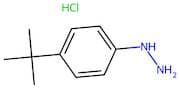 4-(tert-Butyl)phenylhydrazine hydrochloride