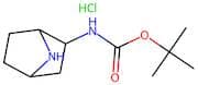 tert-Butyl 7-azabicyclo[2.2.1]heptan-2-ylcarbamate hydrochloride