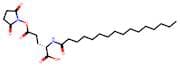 (S)-5-((2,5-Dioxopyrrolidin-1-yl)oxy)-5-oxo-2-palmitamidopentanoic acid