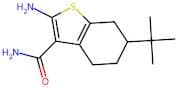 2-Amino-6-(tert-butyl)-4,5,6,7-tetrahydrobenzo[b]thiophene-3-carboxamide