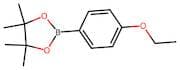 2-(4-Ethoxyphenyl)-4,4,5,5-tetramethyl-1,3,2-dioxaborolane
