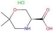 (S)-6,6-Dimethylmorpholine-3-carboxylic acid hydrochloride