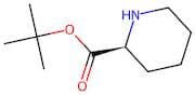 (S)-tert-Butyl piperidine-2-carboxylate