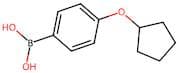 [4-(Cyclopentyloxy)phenyl]boronic acid