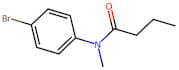 N-(4-Bromophenyl)-N-methylbutyramide