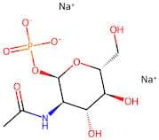 Sodium (2R,3R,4R,5S,6R)-3-acetamido-4,5-dihydroxy-6-(hydroxymethyl)tetrahydro-2H-pyran-2-yl phosph…